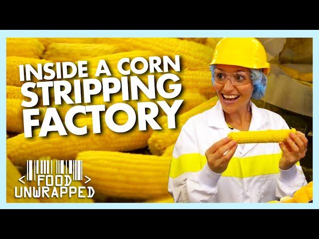 Inside a Factory that Perfectly Strips Sweetcorn | Food Unwrapped