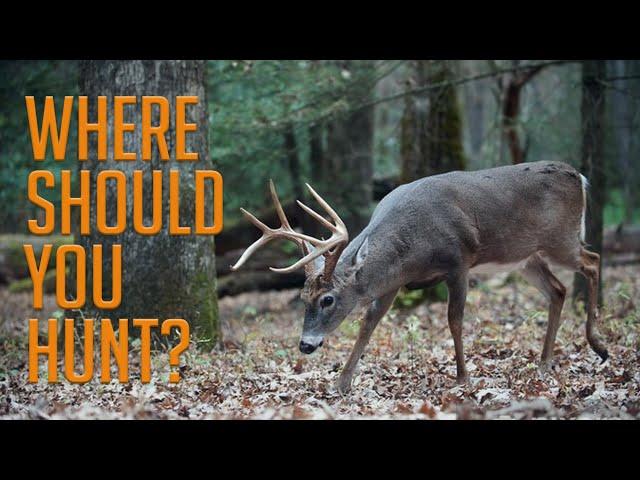 Discover New Hunting Hotspots: How to Find Ideal Deer Hunting Locations with Three Essential Tips!