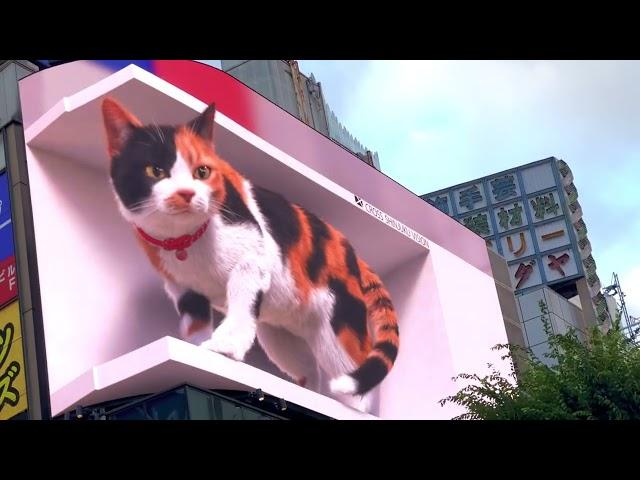 Billboard,Giant 3D Cat in Shinjuku,Tokyo(meu..Meu..)