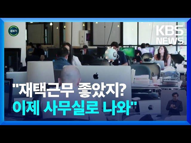 [글로벌K] 미국 '출근하라' 법 등장…재택근무 시대 끝? [지구촌 돋보기] / KBS  2023.02.27.