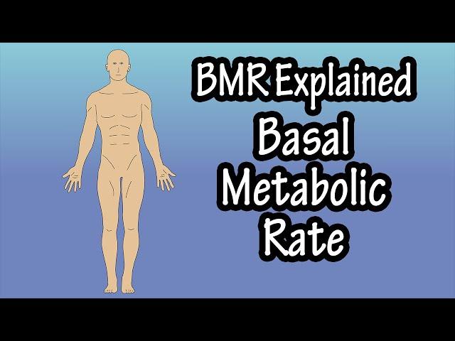 What Is BMR (Basal Metabolic Rate)? - Formula For And How To Calculate BMR - BMR vs RMR Explained