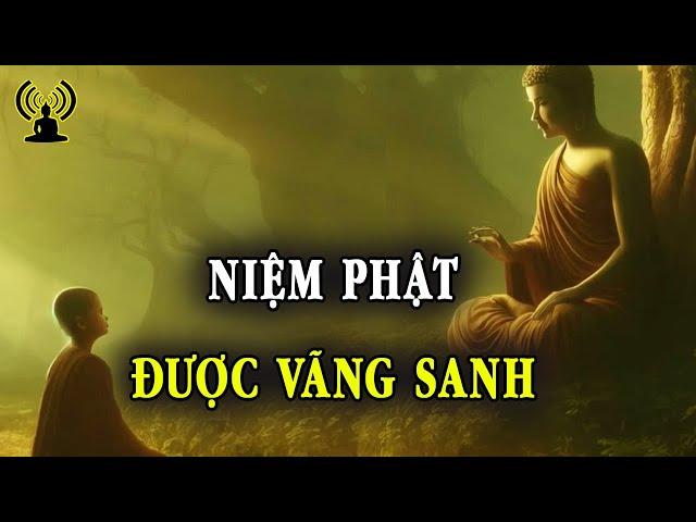 Bỏ tạp hạnh, chuyên niệm sáu chữ hồng danh - Lời Phật dạy