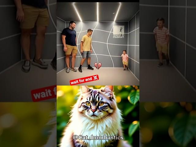 illustration bombastic  #cat #memes #catmemes #illustration