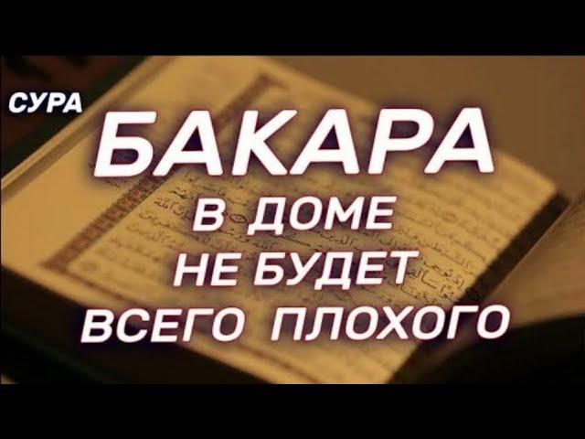 СУРА АЛЬ БАКАРА ЗАЩИТА ВАС И ВАШЕГО ДОМА ОТ ВСЕГО ПЛОХОГО, СЛУШАЙТЕ КАЖДЫЙ ДЕНЬ.