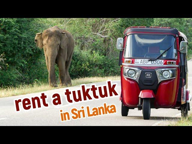 The BEST way to travel Sri Lanka! / Rent a tuktuk