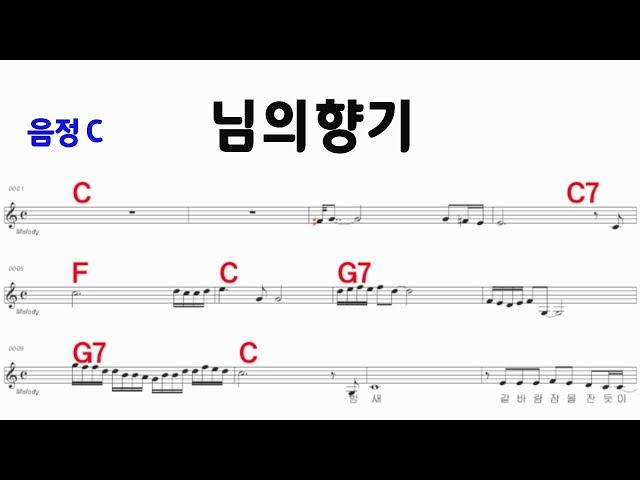 님의향기 C / M.R 반주 / 전.간주 계명표기 통기타 악보영상