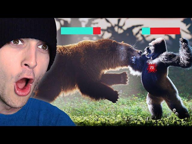 Silverback Gorilla VS Grizzly Bear?! (Reaction)