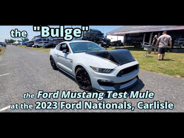 the Bulge Mustang Test Mule 2023 Ford Nationals Carlisle #mustang_fans #mustangs #fordnation