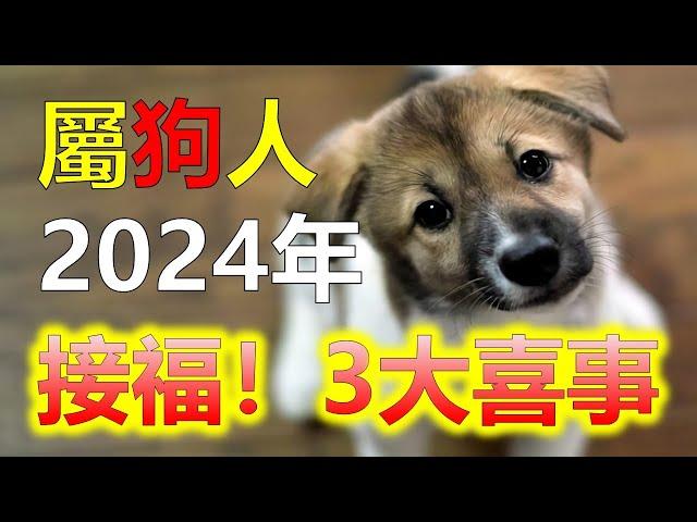 2024生肖運勢，十二生肖屬狗2024年三大喜事，分別是什麼喜事，2024年，屬狗的朋友衝太歲，運勢相比其他生肖低迷許多，十二生肖當中，許多屬相的命運會迎來全新的變化，屬狗雖然在2024年運勢不好