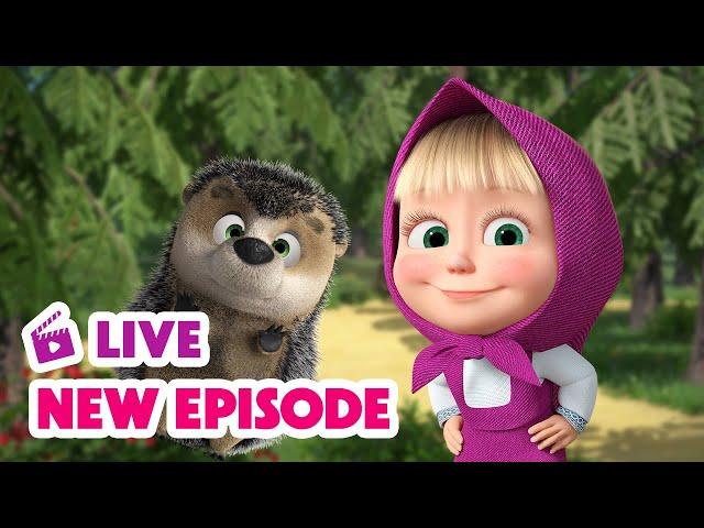  LIVE STREAM  Masha and the Bear  New Episode 