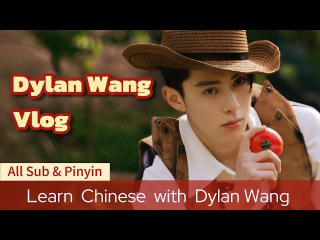 Dylan Wang VlogMAGIC! Be a happy grown-up, always keeping a childlike heart🪄Learn Chinese with 王鹤棣