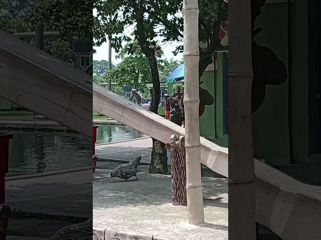 #siddikvlog