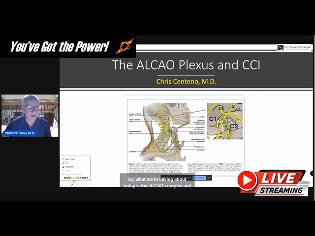 The ALCAO Plexus and CCI