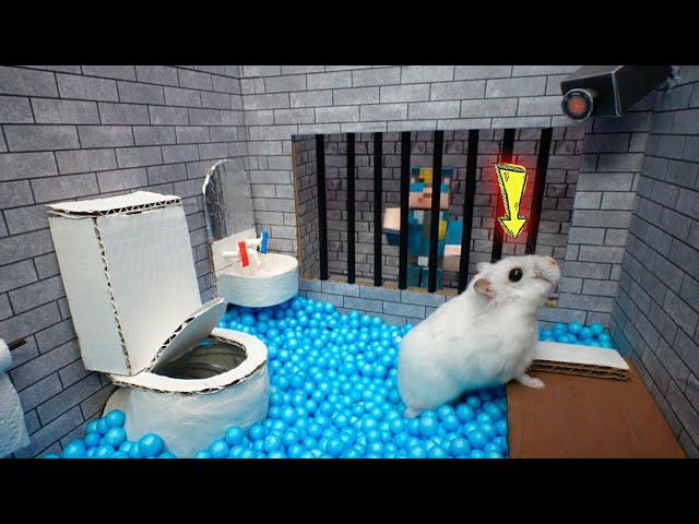 Hamster Escapes Prison Maze  Best of Hamster Adventures pets in real life Live Stream