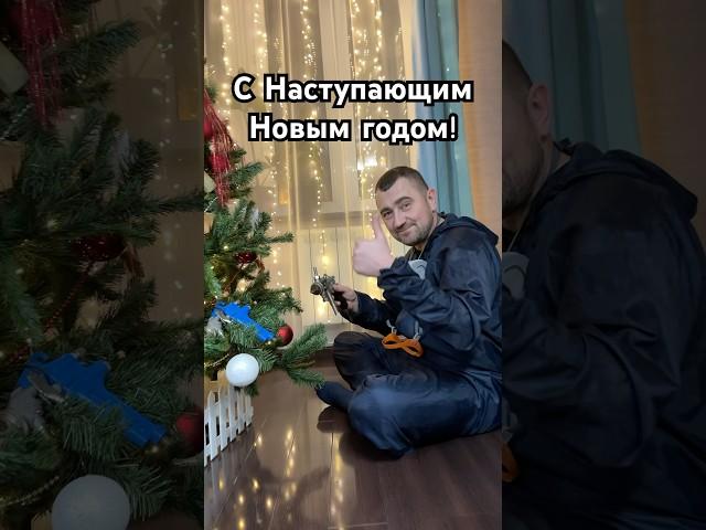 С Наступающим Новым годом  #автомаляр #новыйгод