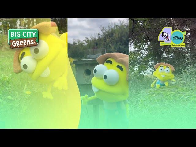 Big City Greens - Cricket Green's Puppet Country Adventures I Disney TVA 40 Years