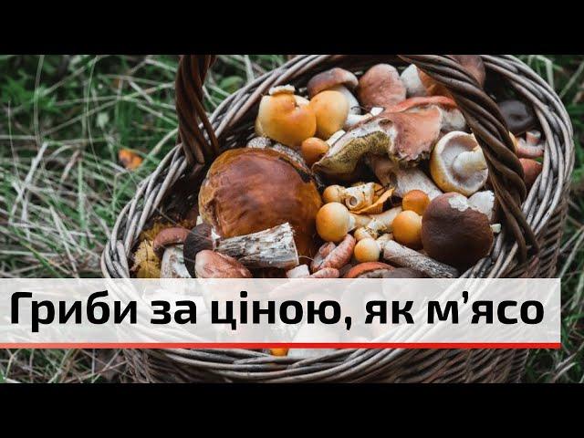 Ціни на гриби у Чернівцях: як м'ясо | C4