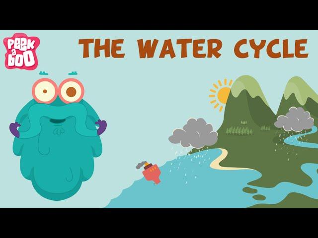 The Water Cycle | The Dr. Binocs Show | Learn Videos For Kids