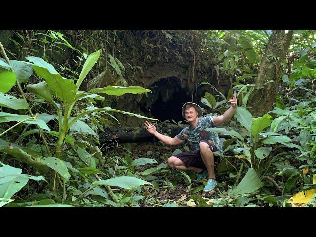 Searching for Dart Frogs in Bocas Del Toro Panama