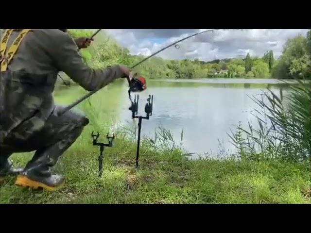 Crazy Carp Fishing Runs! Compilation!
