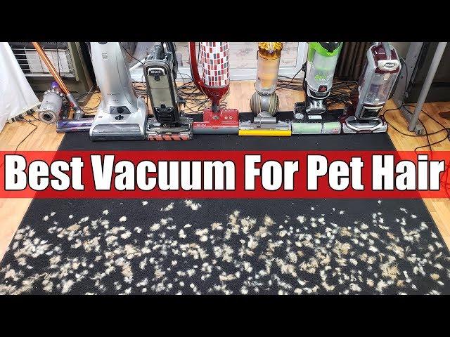Best Vacuum For Pet Hair & Allergies TESTS - Dyson vs Shark vs Bissell vs Sebo