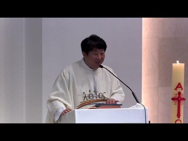[매일미사 강론] 진리의 영이신 성령께서 우리 안에서 힘을 드러내시기 위해 필요한 한 가지. 부활 제6주간 수요일. 25.05.28./ 김재덕 베드로 신부