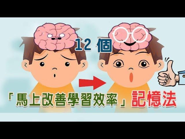 12個「馬上改善學習效率」的記憶法|記性越來越差是因為用錯方法!