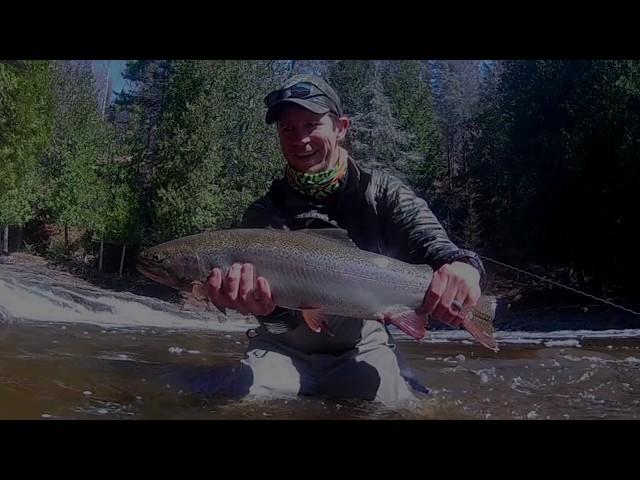 Fly Fishing for Lake Superior Steelhead