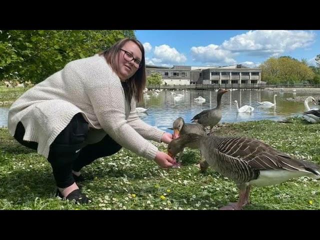 What is the Wildfowl and the Wetlands Trust (WWT)