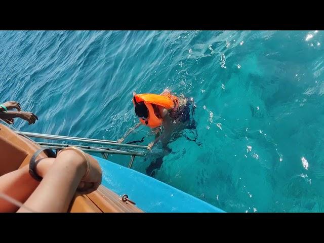 Shark Attack Girl Snorkeling #maldives#sharkattack