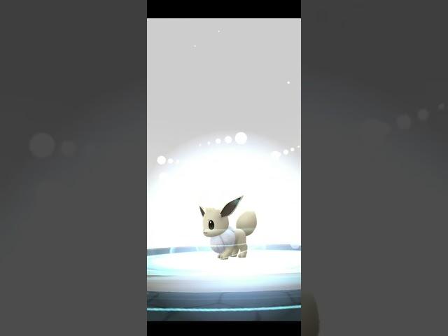 What is the best Shiny Eeveelution? (Pokémon GO)