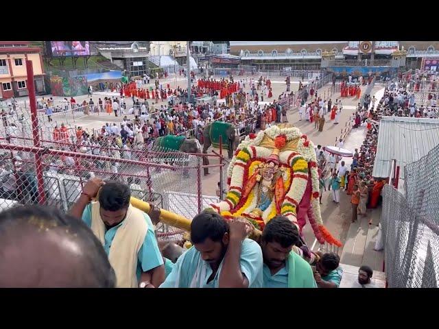 Lord Malayappa Swamy Enthralls Devout On Tirumala Mada Streets In Golden Tiruchi