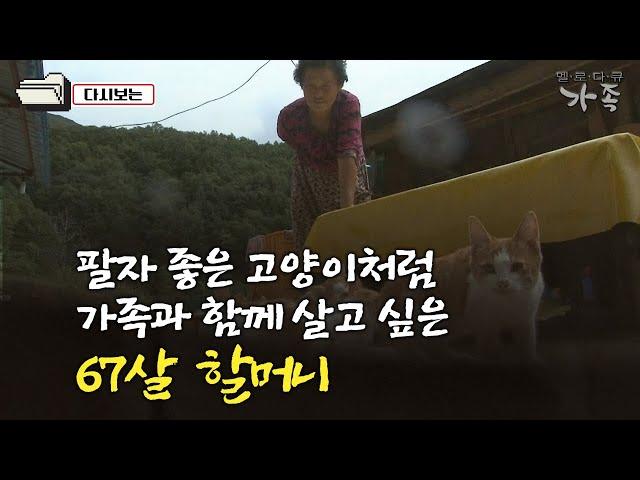 [다큐 ‘가족’ 245회①] 팔자 좋은 고양이처럼 가족과 함께 살고 싶은 67살 할머니