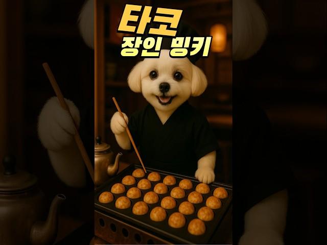 진짜로 타코야키 만든 강아지 ㅋㅋ