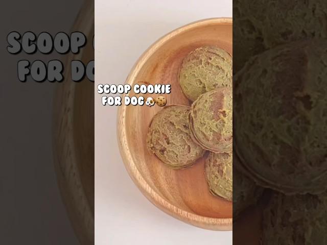 Scoop cookie for dog |dogtreats | 강아지 스쿱쿠키 |  #shorts #쇼츠 #강아지수제간식 #dogtreat