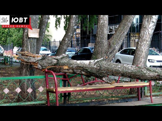 Новости юго-востока Татарстана от 21 июля 2021