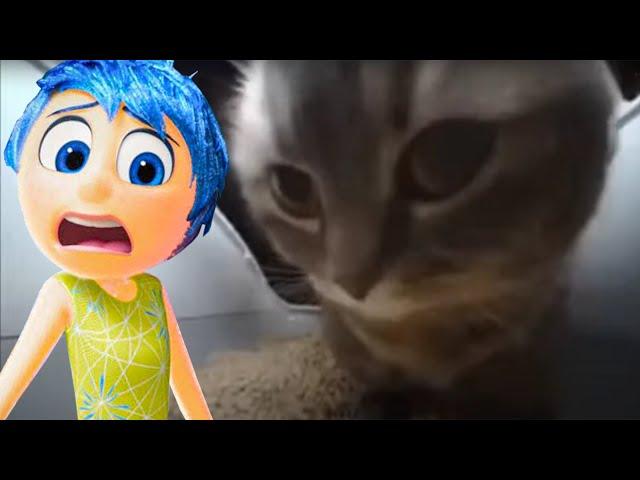 Inside Out 2 - Chipi Chipi Chapa Chapa (COVER #39)