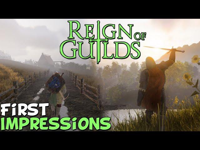 Reign Of Guilds, New MMO First Impressions