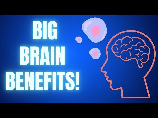 Brain Benefits from Stem Cells!