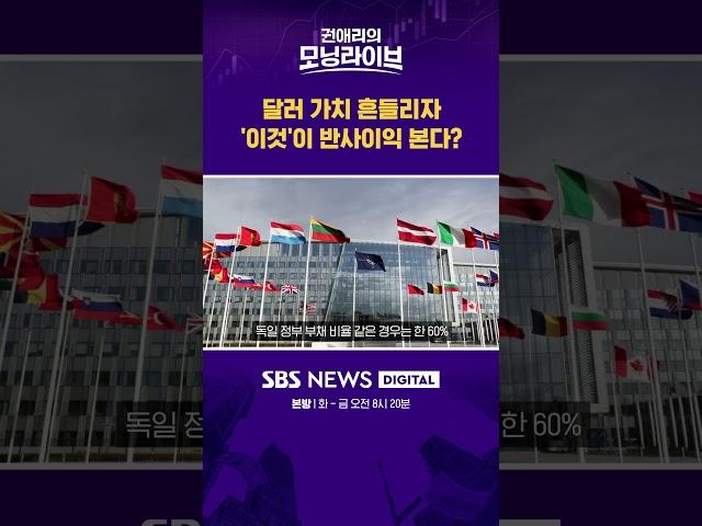 달러 가치 흔들리자 '이것'이 반사이익 본다? #권애리모닝라이브 #shorts