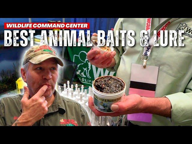 The BEST Wildlife Baits and Lures | Wildlife Command Center