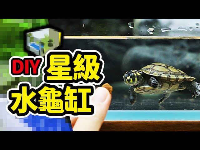 烏龜背上長角？還有香香的味道？ 5種超特別烏龜！（CC字幕）