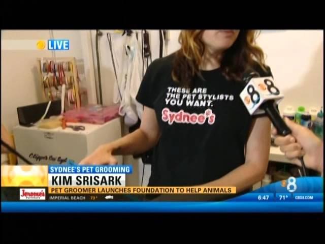 SYDNEES PET GROOMING II  KFMB TV  9 28 15 6am