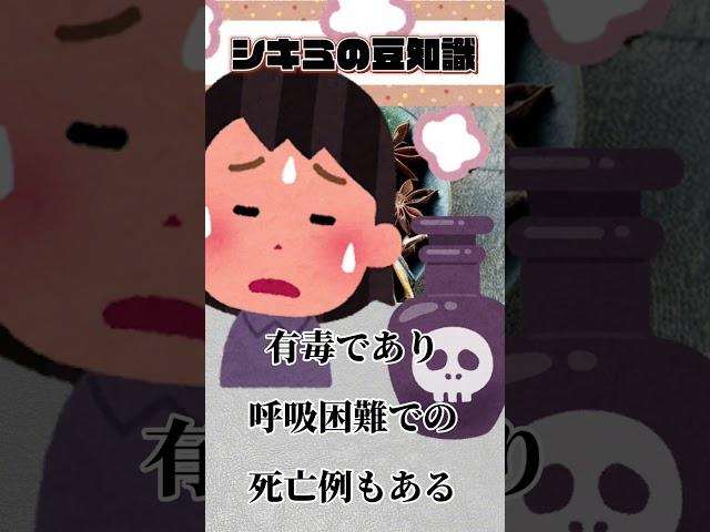 シキミの豆知識　#shorts  #short  #シキミ　#野草