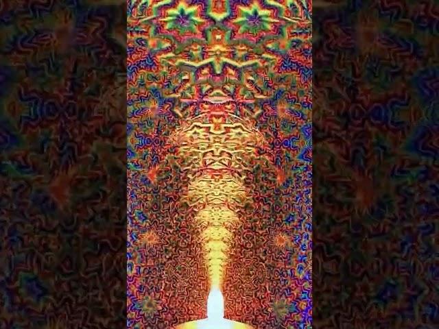 DMT эффект. Канада, выставка