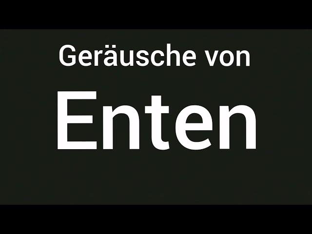 Geräusche von Enten 