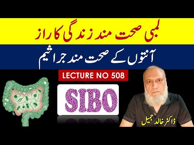 Super Gut and SIBO , Dr. William Davis | Lecture 508 ,