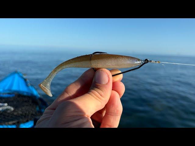 Exploring PARADISE Saltwater Lagoons Fishing Weedless plastic LURES In Stunning Summer Conditions