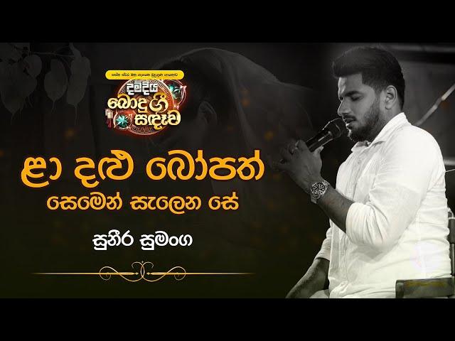 ළා දළු බෝපත් සෙමින් සැලෙන සේ | Ladalu Bopath | #Yashodara | MASSANNE VIJITHA THERO