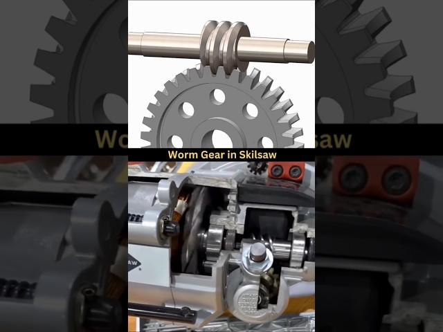 Testing Worm Gear Skilsaw #shorts #trending #new #gear